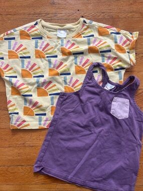 Bundle of 2 Hanna Andersson shirts